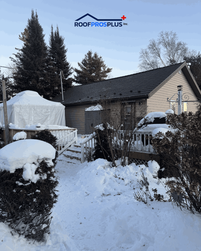 A cozy house with a dark metal roof is surrounded by snow-covered bushes and trees. A wooden fence lines the property.