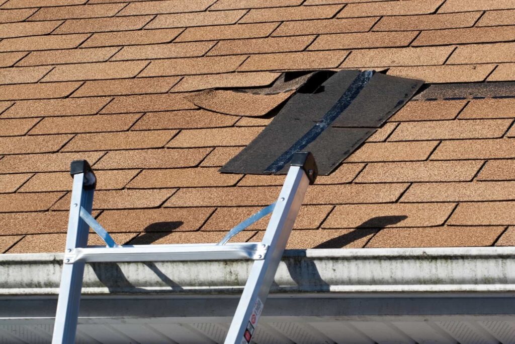 A close-up picture of shingles coming off of a residential roof with a partial view of a silver ladder resting against it.