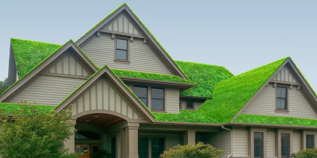 A picture of a house with green moss covering the shingles.