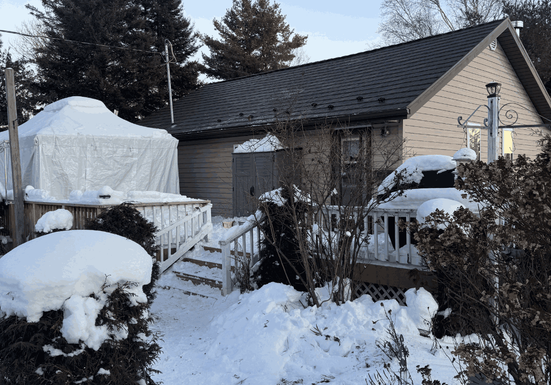 A cozy house with a dark metal roof is surrounded by snow-covered bushes and trees. A wooden fence lines the property.