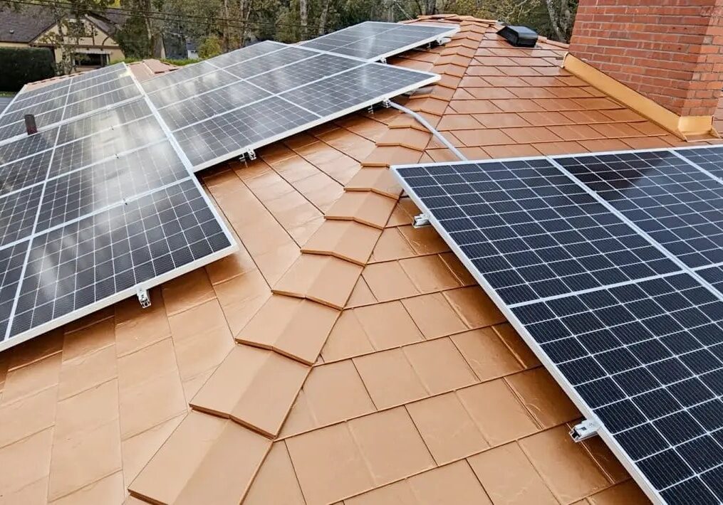 c65d8958-5670-4e6c-b140-caf17ea43aa9-ezgif.com-webp-to-jpg-converter