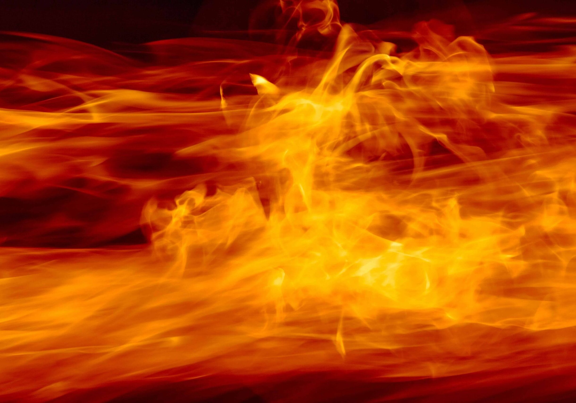 pexels-markusspiske-96590-min