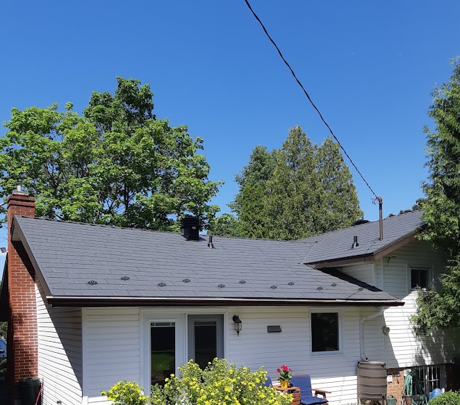 A white house with a grey metal roof is surrounded by lush green trees under a clear blue sky. A chimney and colorful flowers are visible, conveying a serene, sunny atmosphere.