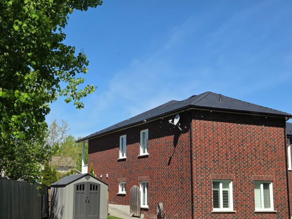 A red brick house with white-framed windows, set against a clear blue sky. A small grey shed is in the yard beside a wooden fence and green foliage.