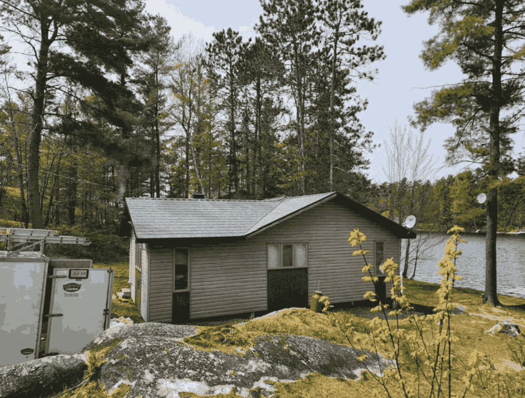 A small, rustic cabin with a grey metal roof sits in a peaceful forest clearing near a lake. Tall pine trees surround the cabin, conveying tranquility.