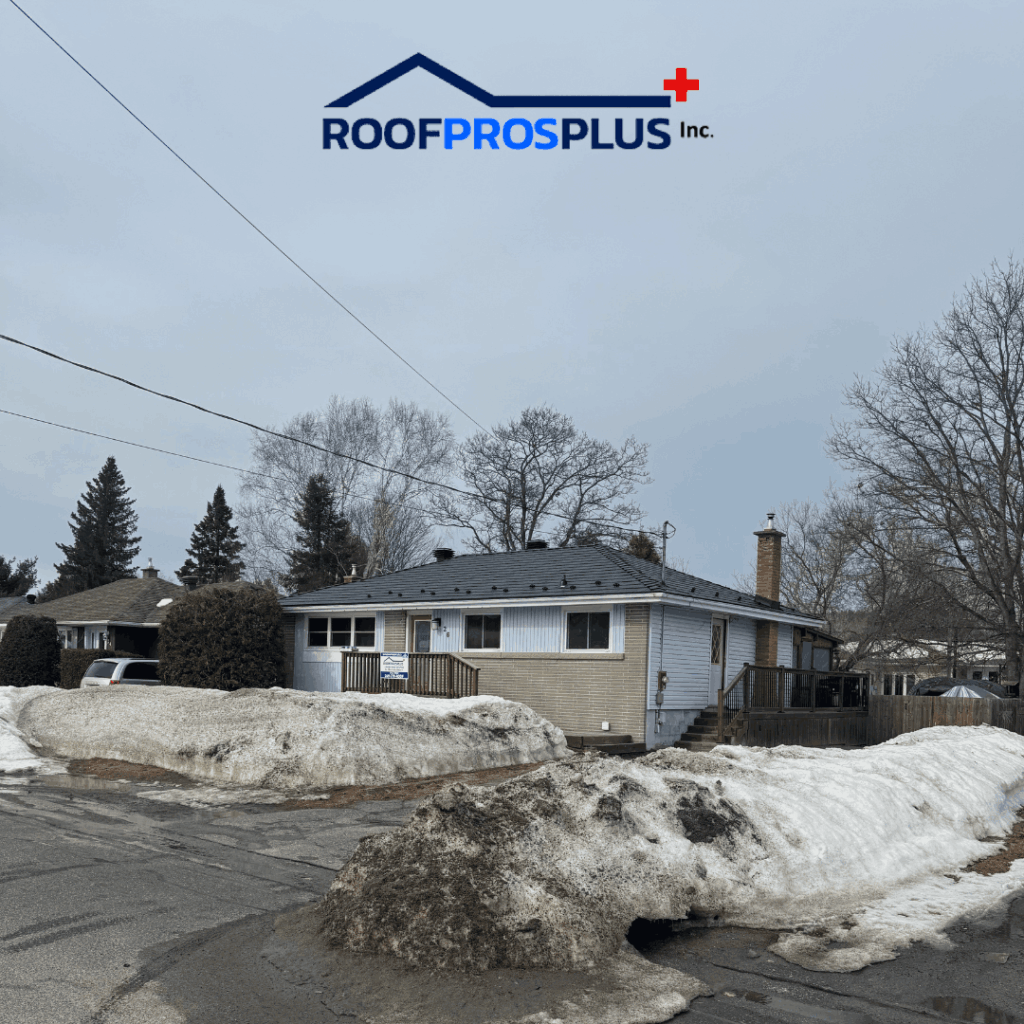 Single-story house with a new metal roof, surrounded by melting snow and bare trees under a cloudy sky. Logo for "ROOF PROS PLUS" is at the top.