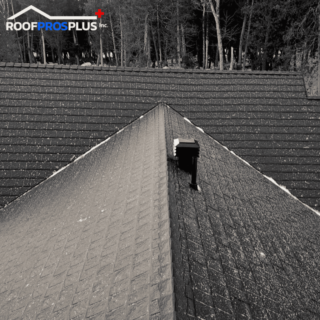 A steep, metal roof with light snow, is surrounded by bare winter trees. A vent pipe protrudes near the top. The logo "Roof Pros Plus Inc." is in the top left corner.